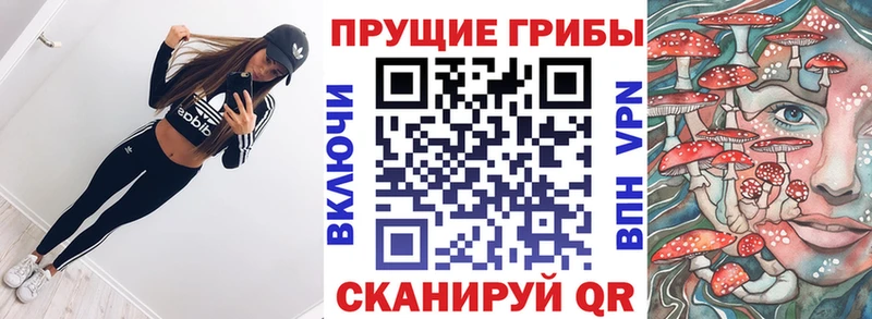 дарк нет состав  Миасс  Галлюциногенные грибы GOLDEN TEACHER 