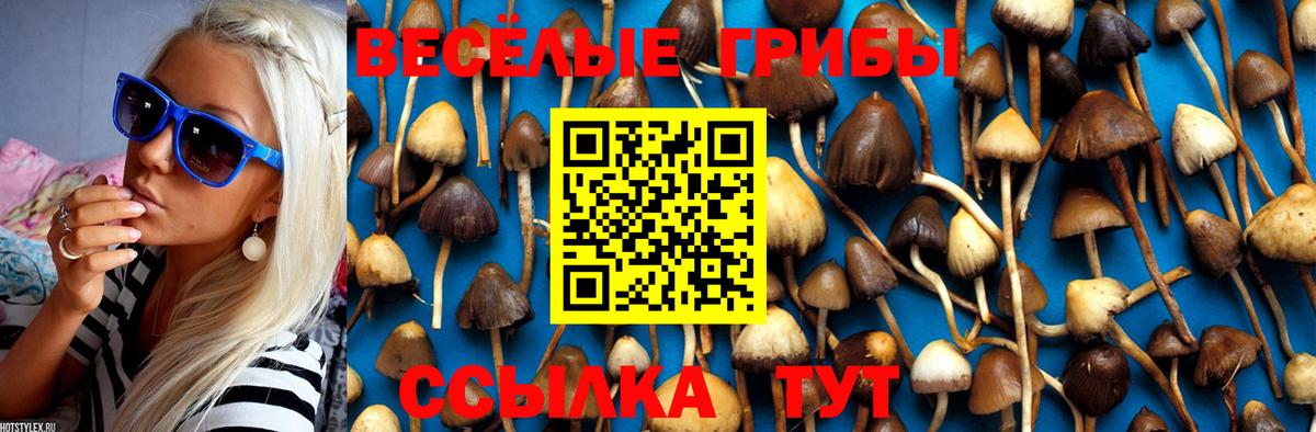 Псилоцибиновые грибы Cubensis  Вход с VPN  Миасс 